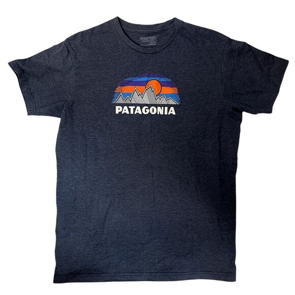 Patagonia Other - Patagonia T Shirt Outdoor Nature Graphic Size Size L